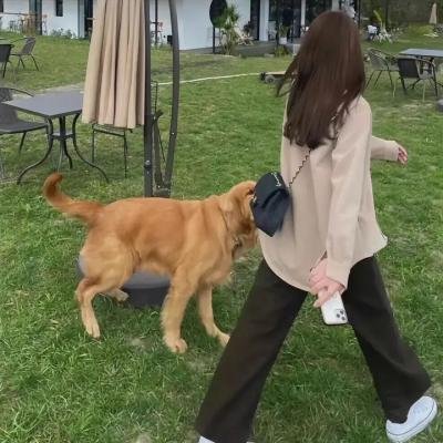 我的生存之道